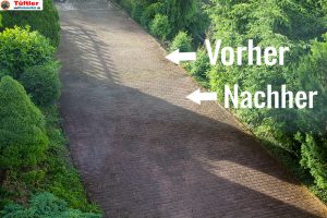 gloria-multibrush-fugenreiniger-test-deutlicher-unterschied-fenstersicht2