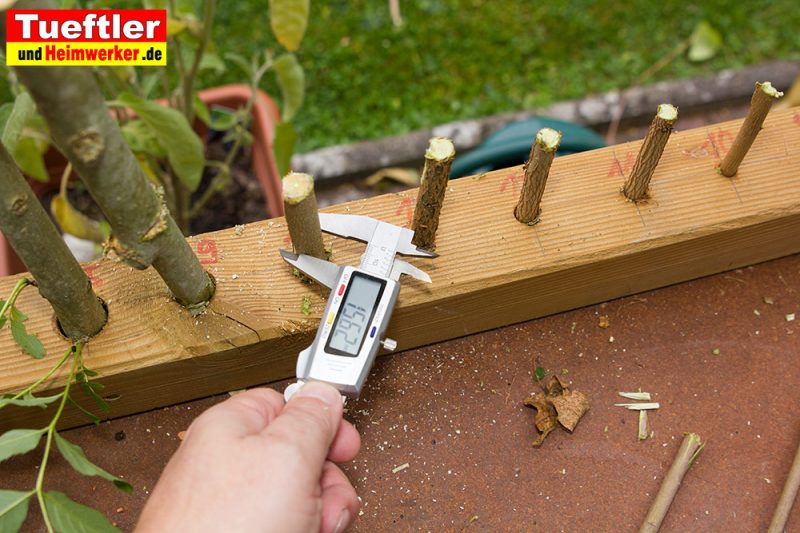 Praxistest AkkuHeckenschere Makita DUH523Z
