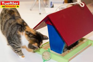 futterhaus-vogelhaus-katze