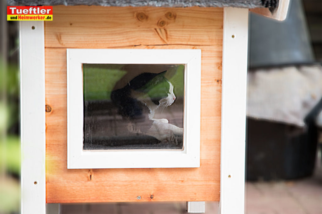 Katzenhaus-DIY-Projekt-Fertig-Katze-duch-Fenster