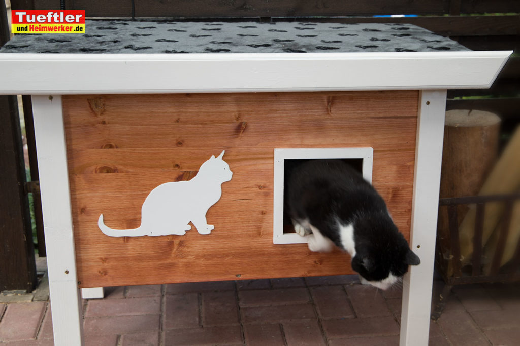 Katzenhaus-DIY-Projekt-Fertig-aufgebaut-Katze-steht-auf