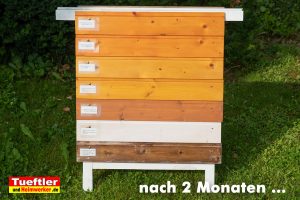 Holzschutz-Vergleich-Lasuren-Oele-nach-2-Monaten