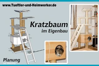 Kratzbaum_titel_800.jpg