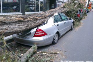 sturmschaden-auto.jpg